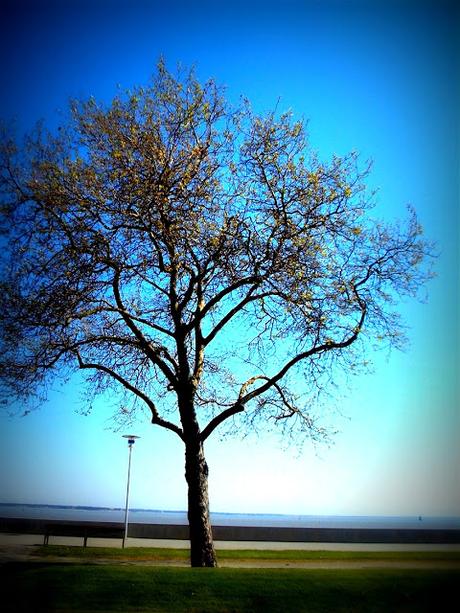 on est bien peu de choses