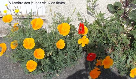 on est bien peu de choses