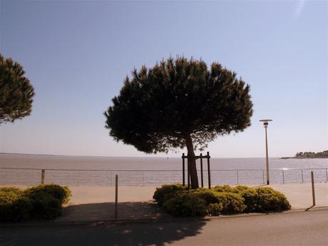 on est bien peu de choses