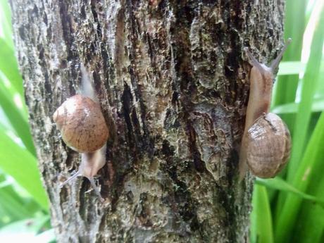 Les lundis se suivent et se ressemblent