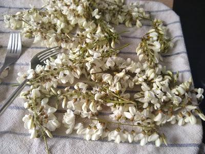 Beignets de fleurs d'acacia