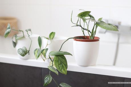 Je re-décore ma salle de bain Je re-décore ma salle de bain