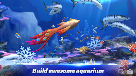 Code Triche FishIsland: Fishing Paradise APK MOD (Astuce) Code Triche FishIsland: Fishing Paradise APK MOD (Astuce) 5