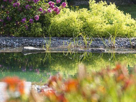 Piscines naturelles parfaitement intégrées dans le jardin