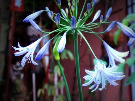 ce sentiment étrange