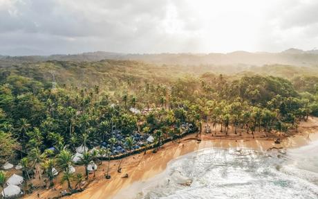 News bière – “Le nouveau monde, pouvons-nous vraiment y croire?”

 – Bière noire