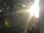 premier jour reste vies"