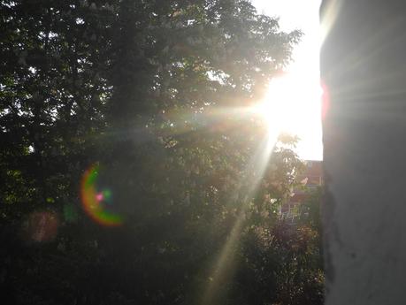 premier jour reste vies