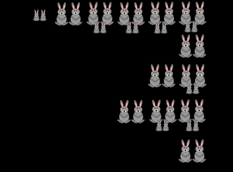 Multiplication des lapins selon la suite de Fibonacci