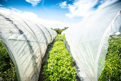 L'agriculture française doit se réinventer pour devenir une force de résilience L'agriculture française doit se réinventer pour devenir une force de résilience