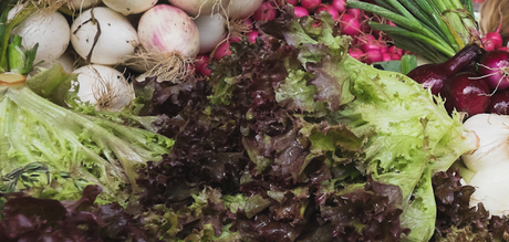 L'agriculture française doit se réinventer pour devenir une force de résilience L'agriculture française doit se réinventer pour devenir une force de résilience