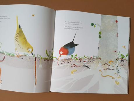 Sous mes pieds - La vie du sol de Emmanuelle Houssais ♥ ♥ ♥