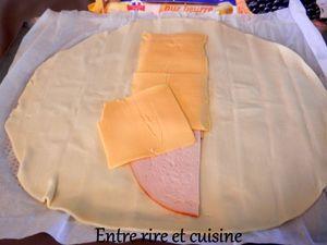 Feuilleté au blanc de poulet, carottes, sauce tomate Feuilleté au blanc de poulet, carottes, sauce tomate