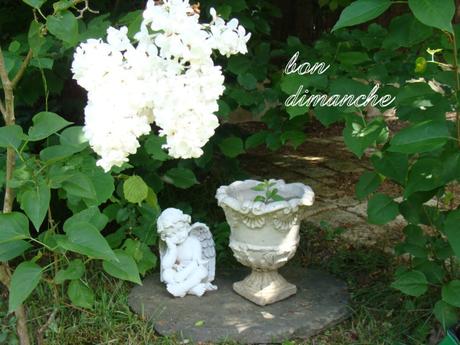 Croquettes de poisson à l’oignon et curry de poisson