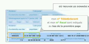 impot2008-aide.jpg, juil. 2009 Succès de la déclaration des revenus en ligne