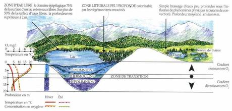 Exemples d’écosystèmes Exemples d’écosystèmes