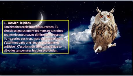 Divers - Sous le signe des oiseaux