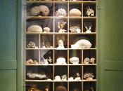 Dans l’intimité cabinet