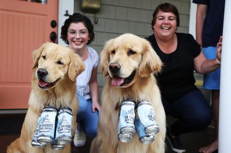 Info bière – Des photos de Golden retrievers Buddy et Barley livrent de la bière à New York pendant la pandémie de coronavirus
 – Bière blonde
