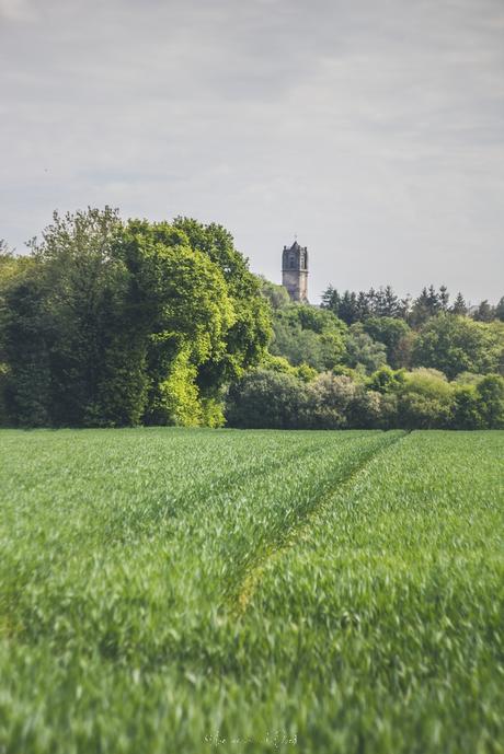 À 1 km de chez moi, dans ma campagne bretonne.