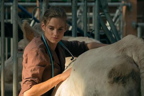 Critique Les Vétos : deux bonnes raisons d’applaudir