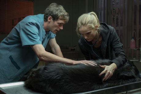 Critique Les Vétos : deux bonnes raisons d’applaudir