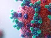 COVID-19 Découverte d’une enzyme indispensable l’attaque virus