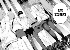 The quintessential quintuplets #1 • Negi Haruba