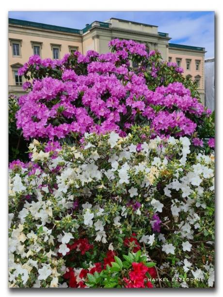 Ah le Parc des Bastions!