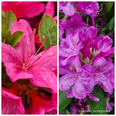 Ah le Parc des Bastions!