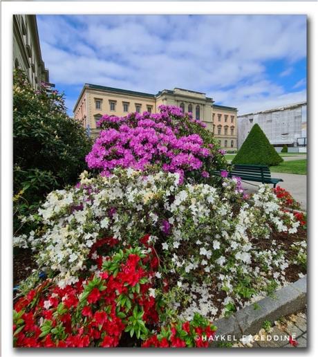 Ah le Parc des Bastions!