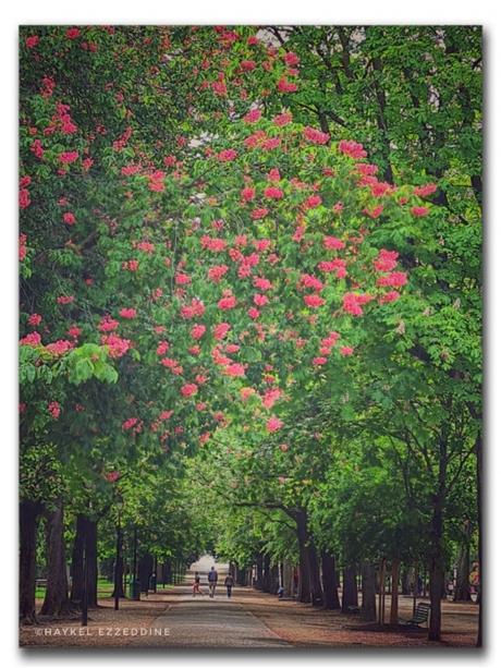 Ah le Parc des Bastions!