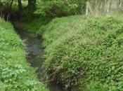 ARCHI URBAIN, l’actu (01/02) Negenmanneken