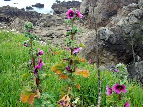 avez-vous mesuré le temps?