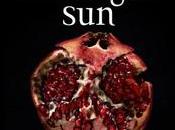 Hachette Group s'explique couverture Midnight Stephanie Meyer