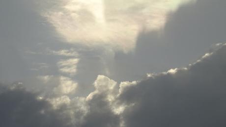 Pré-déconfinement pluvieux, pré-déconfinement heureux