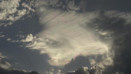 Pré-déconfinement pluvieux, pré-déconfinement heureux