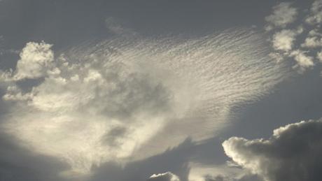 Pré-déconfinement pluvieux, pré-déconfinement heureux