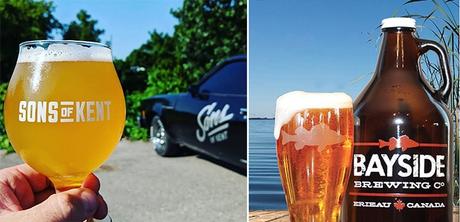 News bière – Se débrouiller pour rester en affaires – The Chatham VoiceThe Chatham Voice
 – Houblon