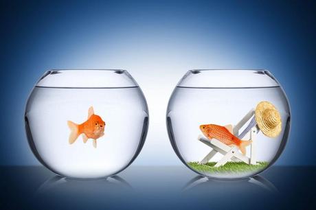 Danse, Horacio DANSE!