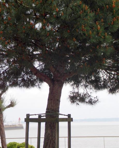 terriens je suis à vous