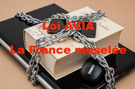 Loi AVIA : la France muselée