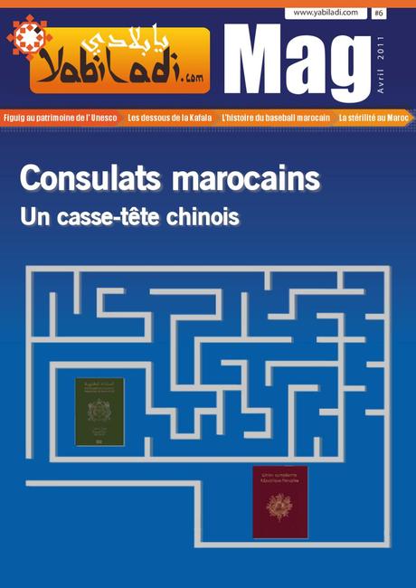 Publicité : Site Internet De La Dgsn Cameroun – Agence Seo à Montpellier