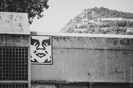 Portrait de Shepard Fairey Obey à Grenoble