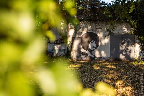 Portrait de Shepard Fairey Obey à Grenoble