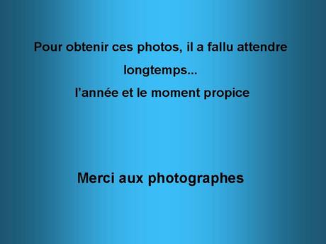 Pays Etrangers - La Californie - La chute de feu