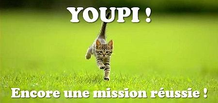 Coronavirus : on teste bien les chats Coronavirus : on teste bien les chats