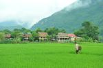 Histoires Expatriées – 10 idées pour se mettre au vert au Vietnam