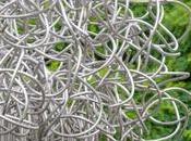 culture débat, l'anthropologie question