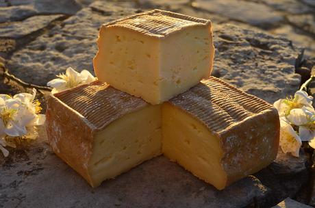 News bière – Maroilles: 10 choses que vous ne connaissez peut-être pas sur le fromage le plus populaire des Hauts-de-France

 – Bière blonde